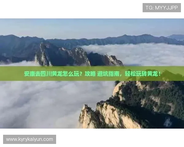 开云体育分析功能好用吗数字高频玩法防骗避坑指南